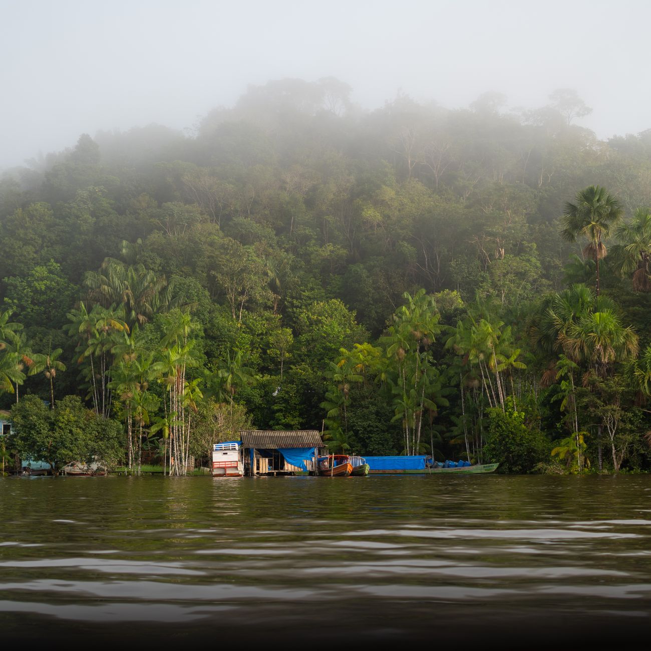 Floresta Amazônica e rio navegável